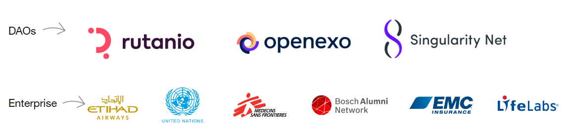 Trusted by DAOs and Enterprises